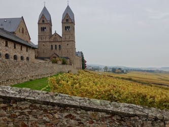 Castillos y abadías: una visita a Rheingau Grand Crus